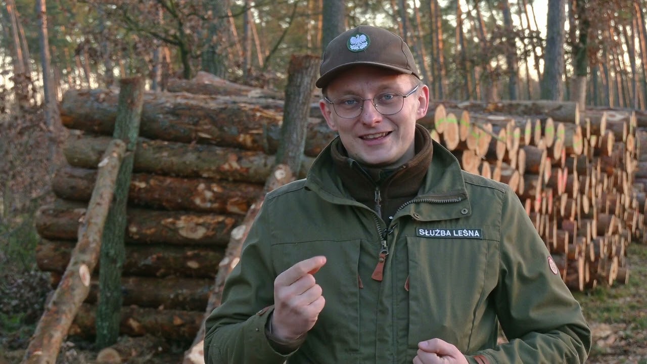 Cztery Pory Lasu odc.6: Czy wycinka drzew jest potrzebna?