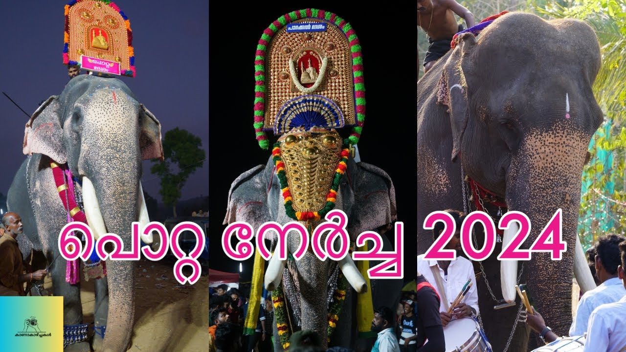 പൊറ്റ നേർച്ച 2024 | Potta Nercha 2024