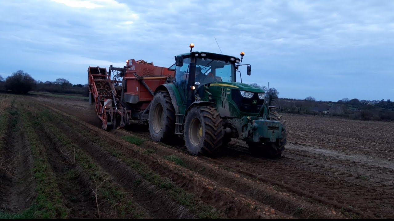 🥕Arrachage de carottes 2021 ! 🥕 Benne ampliroll 😎