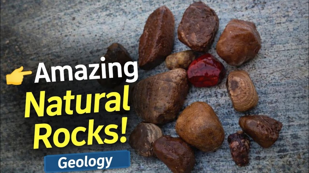 Natural River Rocks Collection | Jasper, Chert & Rare Stones Explained | Geology Video
