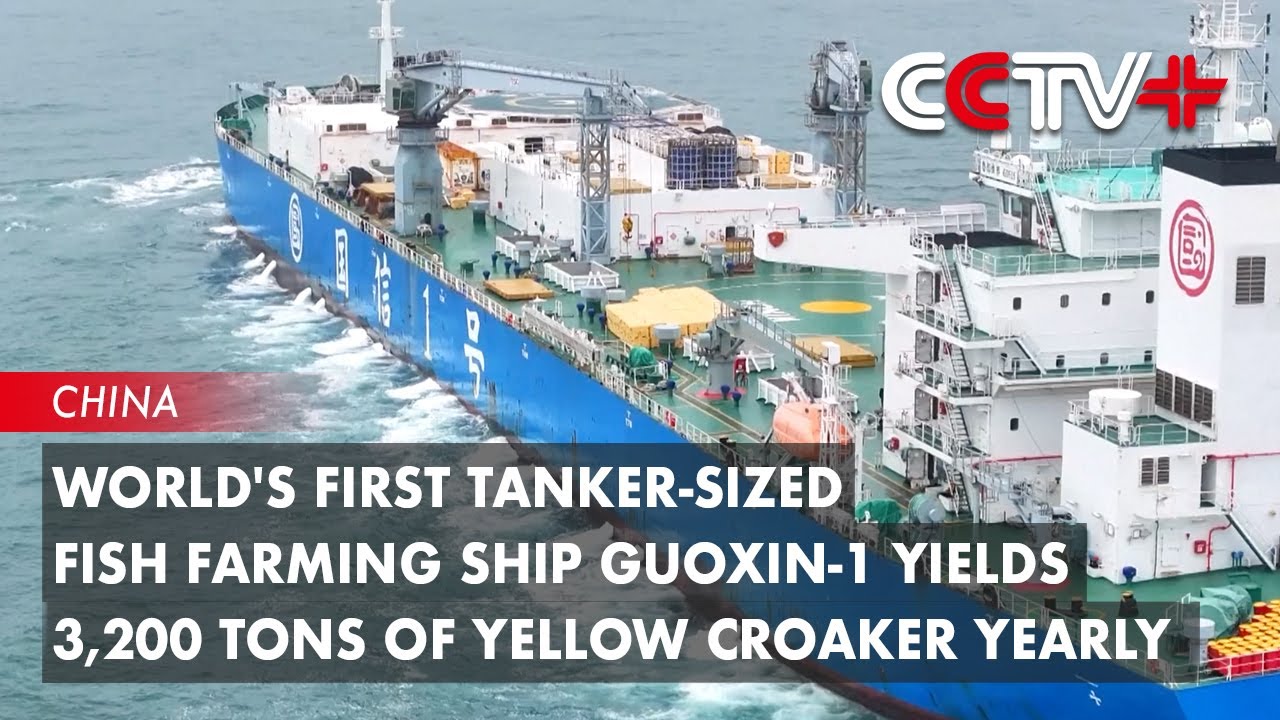 World's First Tanker-Sized Fish Farming Ship Guoxin-1 Yields 3,200 Tons of Yellow Croaker Yearly