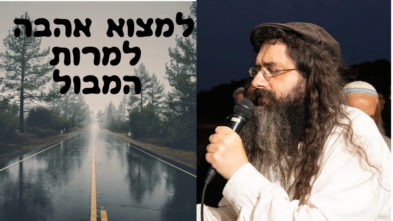 למצוא אהבה למרות המבול - פרשת נח תשפה