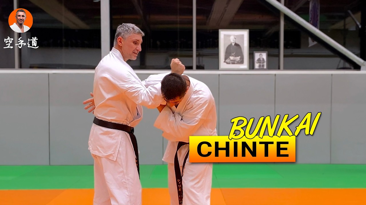 Bunkai Chinte - Karate