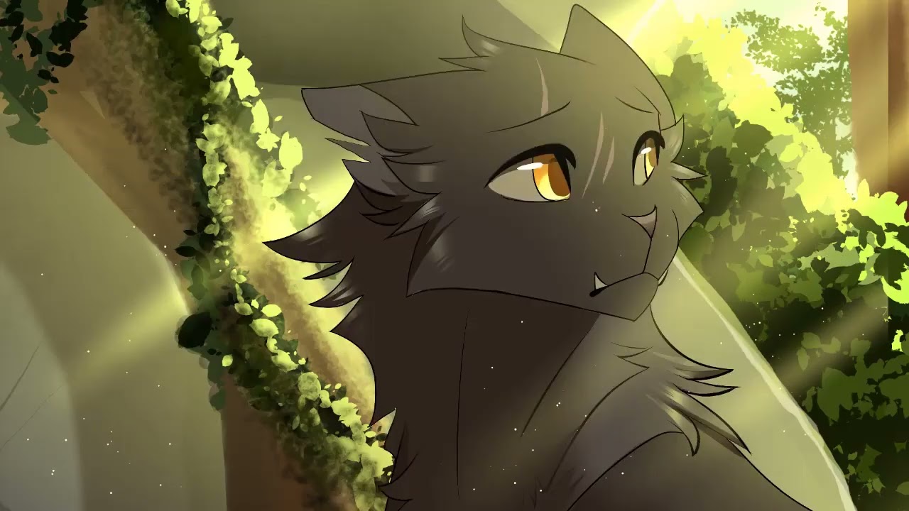 The Night We Meet. Yellowfang Raggedstar PMV   Part 8 (By Crystal Silverlight)