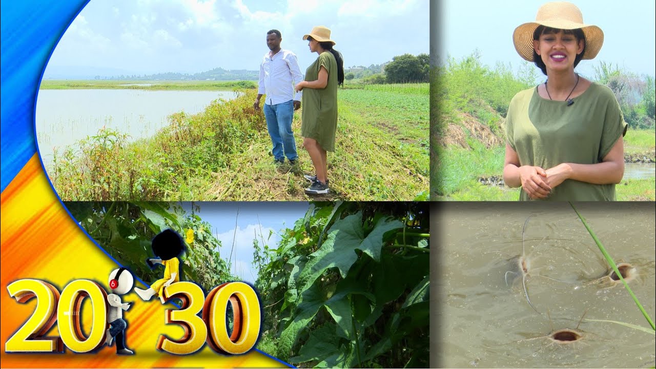 ''ገበሬ ነኝ ስል በኩራት ነው'' የከተማ ግብርና በታዬ ከበደ /20-30/