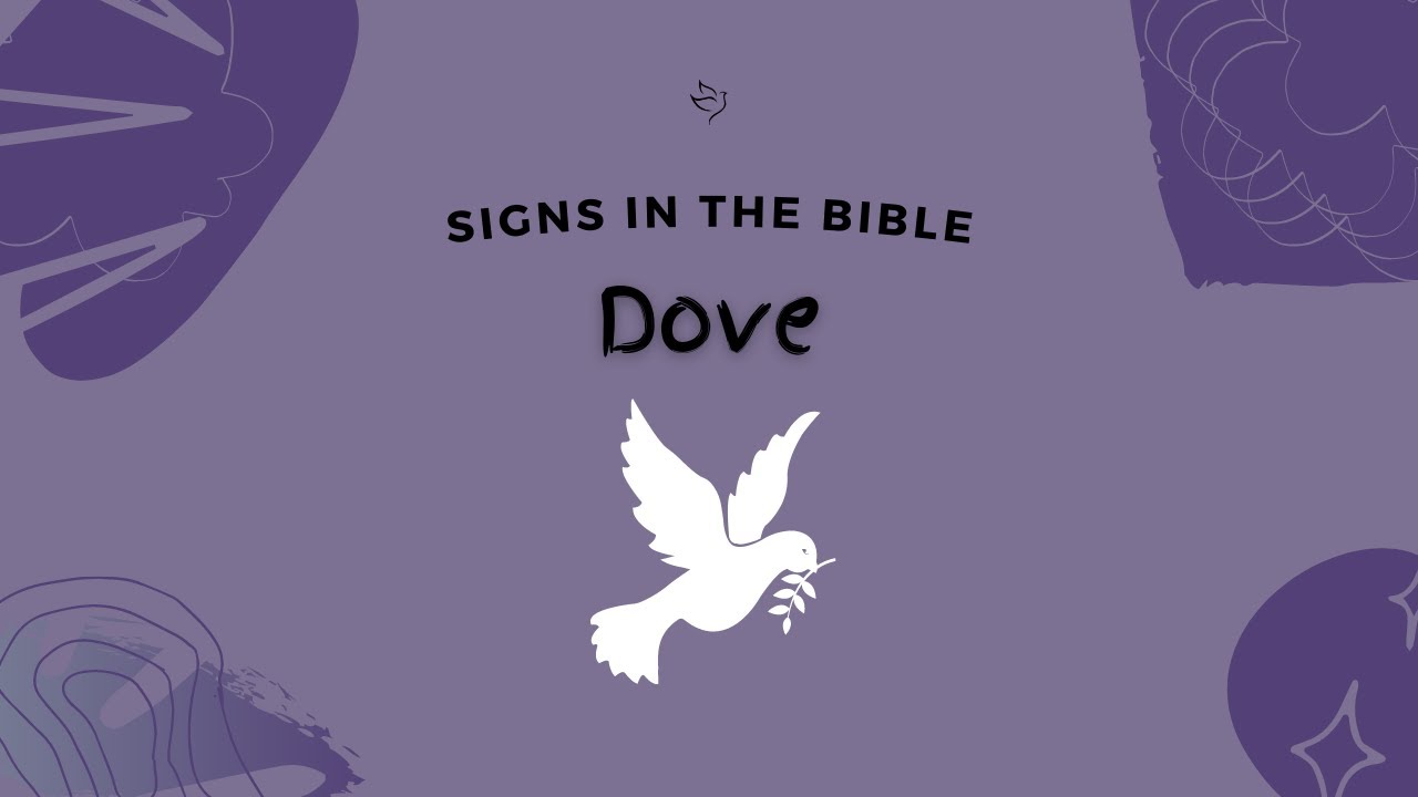 Signs in the Bible : Dove