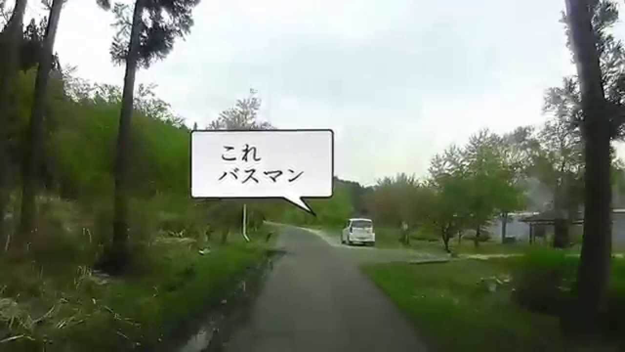 滋賀県余呉湖　大物鯉釣りフィールド