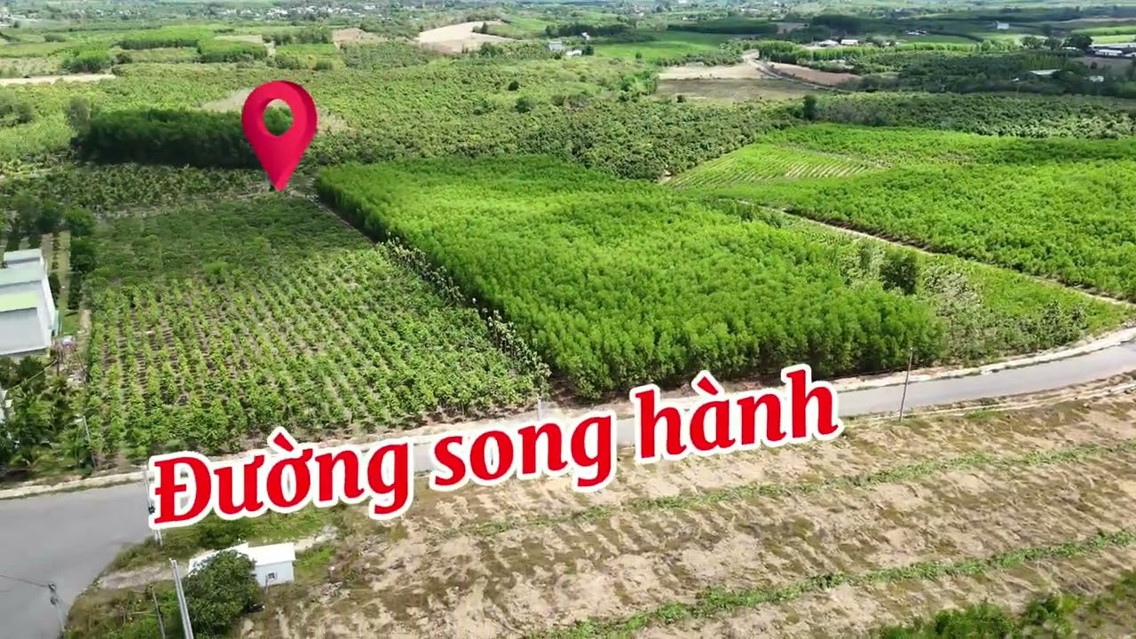 	Nhà Vườn 9.908m² Trồng Nhiều Cây Trái – Đường Ô Tô Tới Đất, Gần QL20