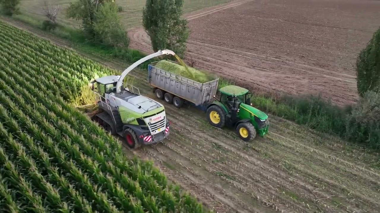 Trinciato di mais 2023-Mantova 🌽🚜 CLAAS JAGUAR 40000 TERRA TRAC SILAGE INARRESTABILE SEMPRE LA N°1