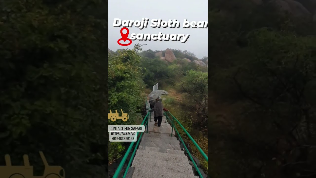 Daroji Sloth bear sanctuary#daroji_bear_sanctuary #santoshholidays #santoshhampi#