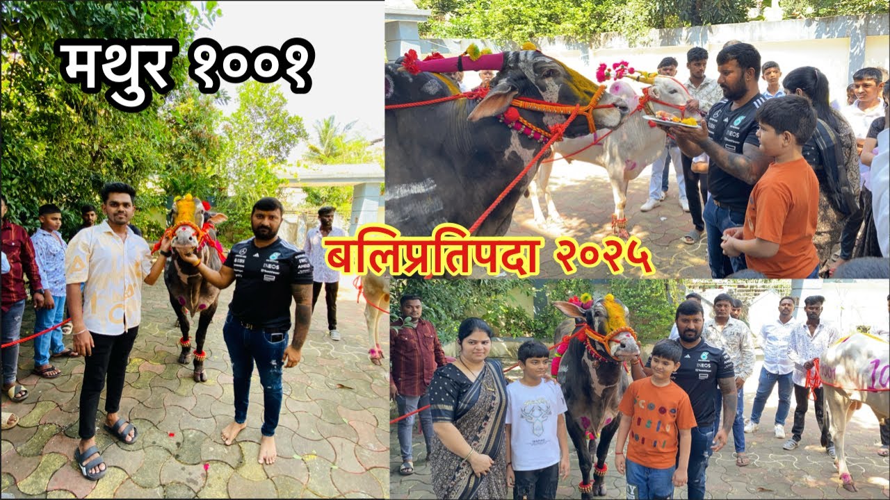 बलिप्रतिपदा २०२५ | मथुर १००१ | Mr.Prince