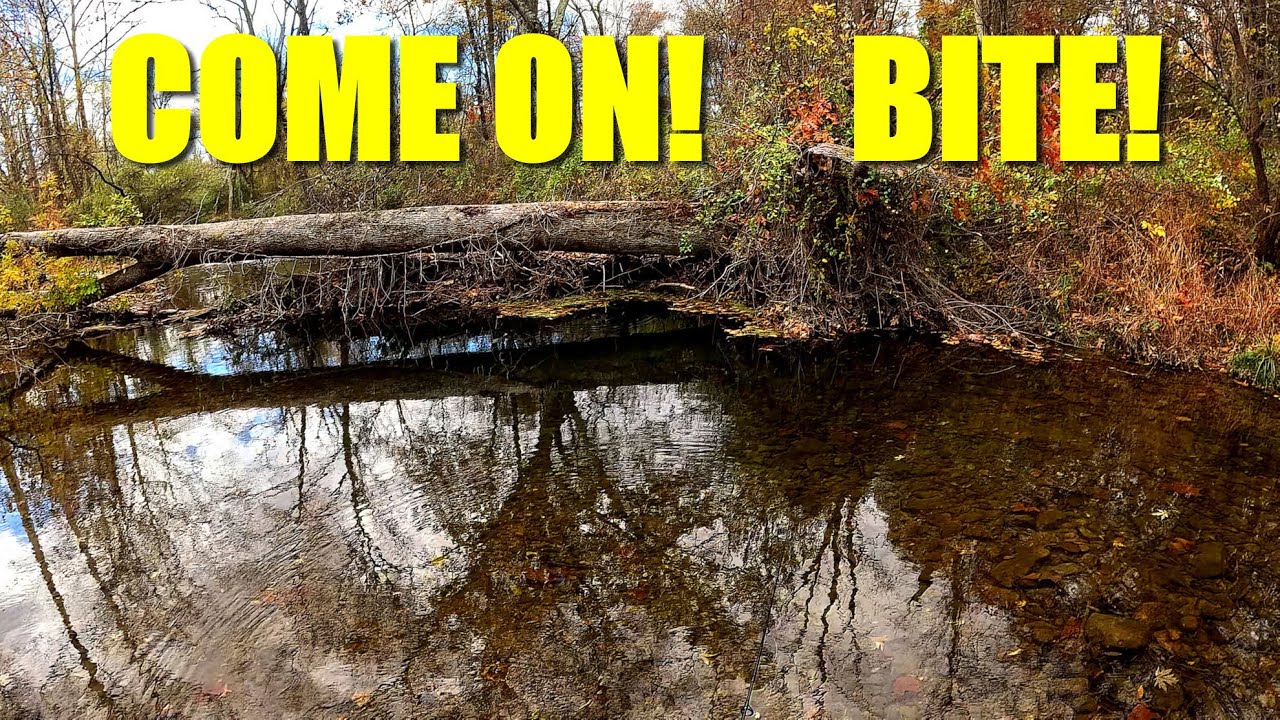 Getting Humbled By a New Jersey Trout Creek