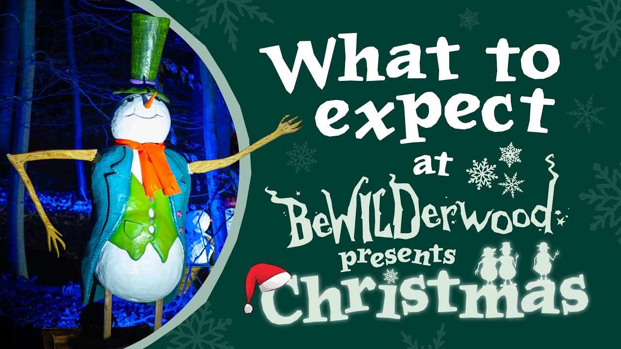 What to expect at BeWILDerwood Presents Christmas in BeWILDerwood Norfolk