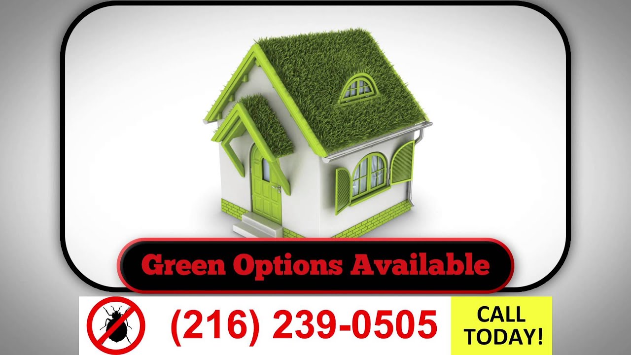 24 Hour Emergency Pest Control Cleveland Ohio | (216) 239-0505