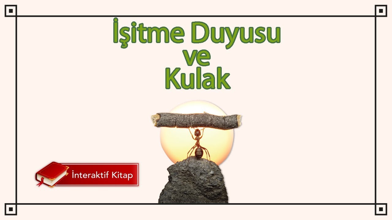 AYT Biyoloji | İşitme Duyusu ve Kulak #sayfa44