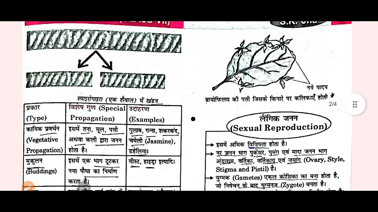 NCERT Science class 7th chapter (पादपो में जनन)✍️👍 BPSC tre 4.0 by Rupesh sir 👍✍️