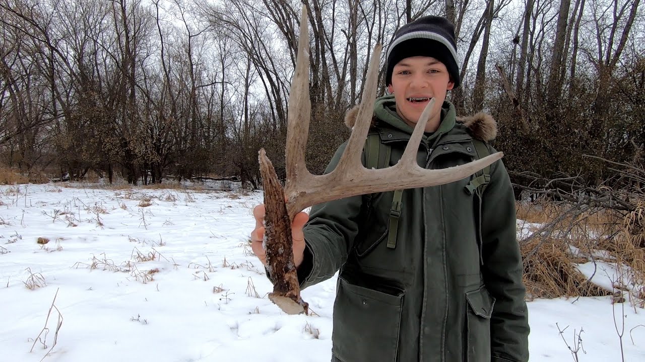 MASSIVE ANTLER! Shed Hunting 2023