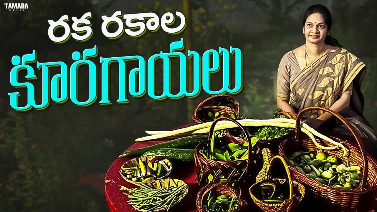 Vegetable Harvest /వారానికి సరిపడిన కూరగాయలు  కోసాము /MadGardener