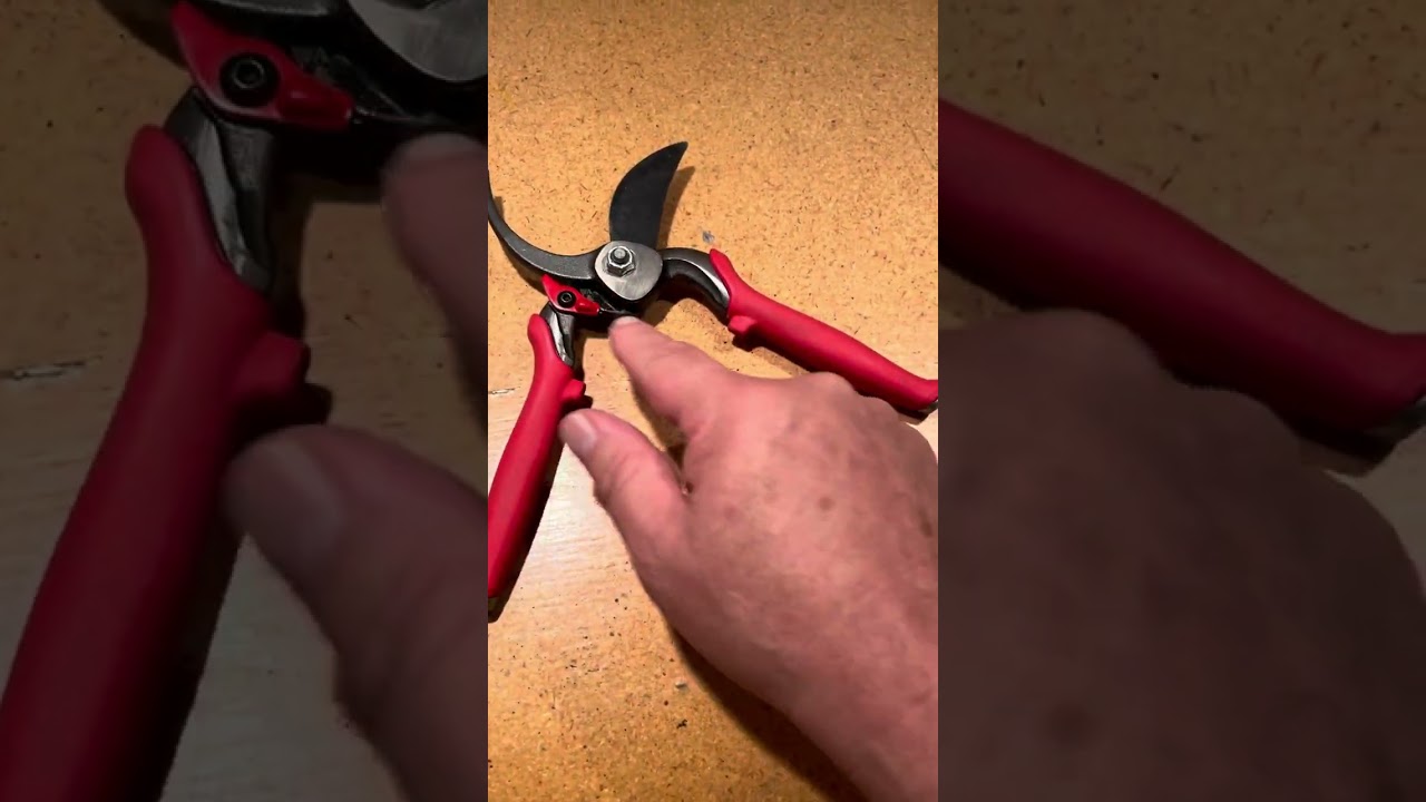 CORONA Hand Pruner Review