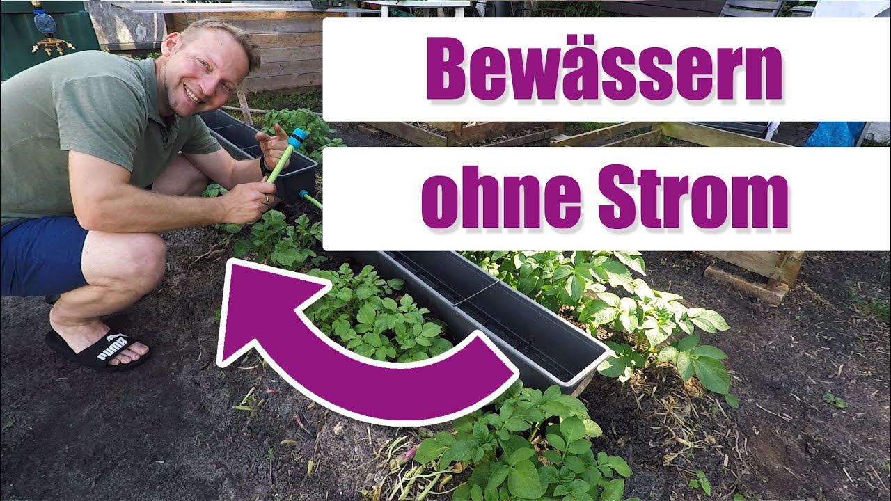NEUHEIT: Günstige Bewässerungsanlage selbst bauen 🚿