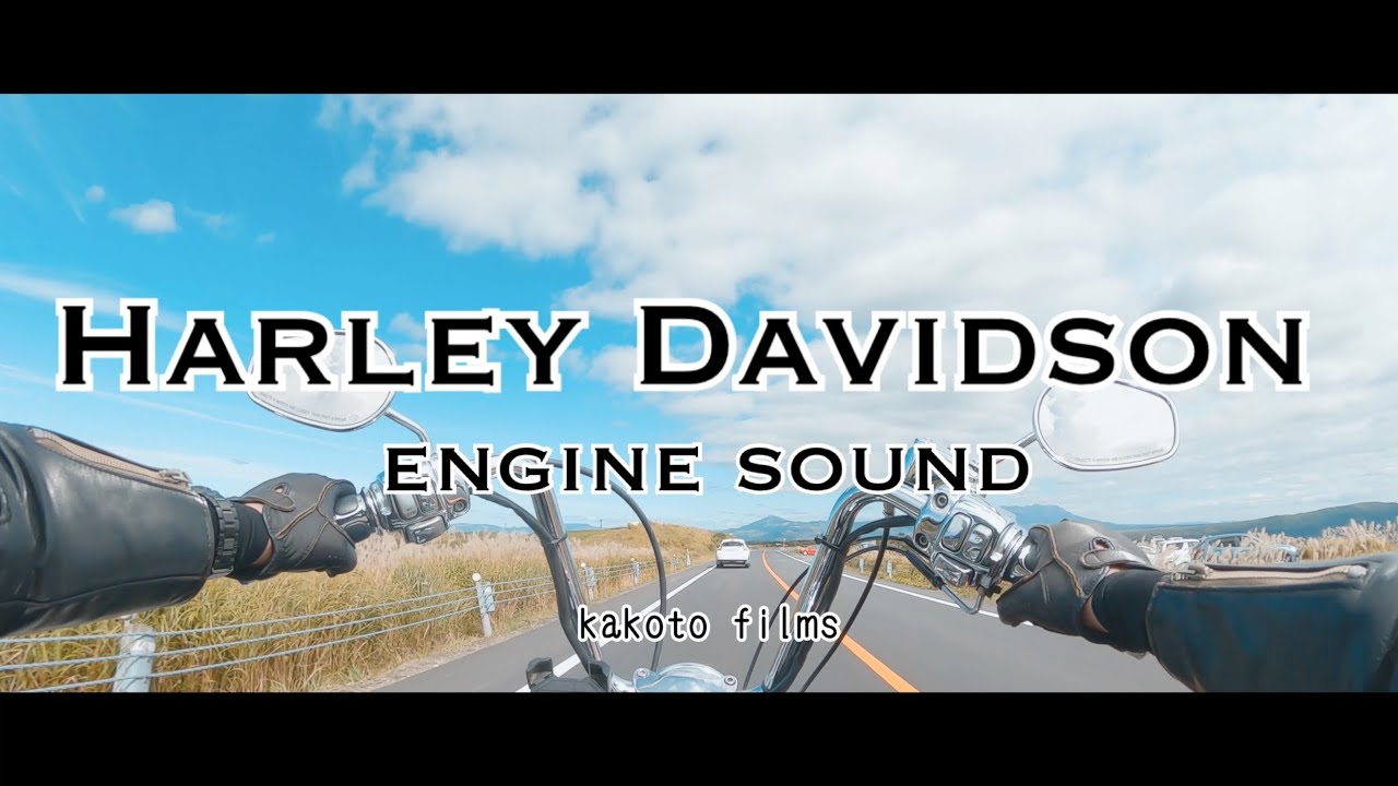 【高音質 イヤホン推奨 】 ハーレーダビッドソンの音と三拍子を楽しむ。 Harley Davidson Engine Sound