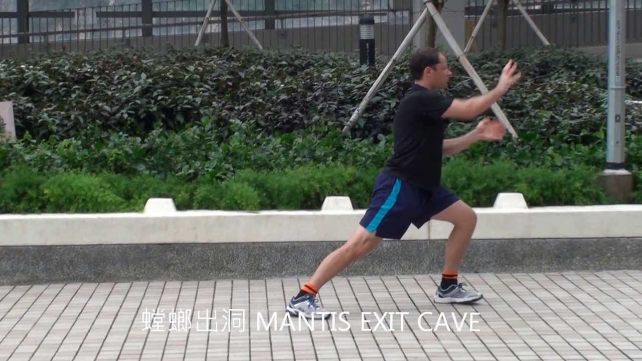 NORTHERN MANTIS (BEI TANG LANG) - PAUL 2013 HK PART 1