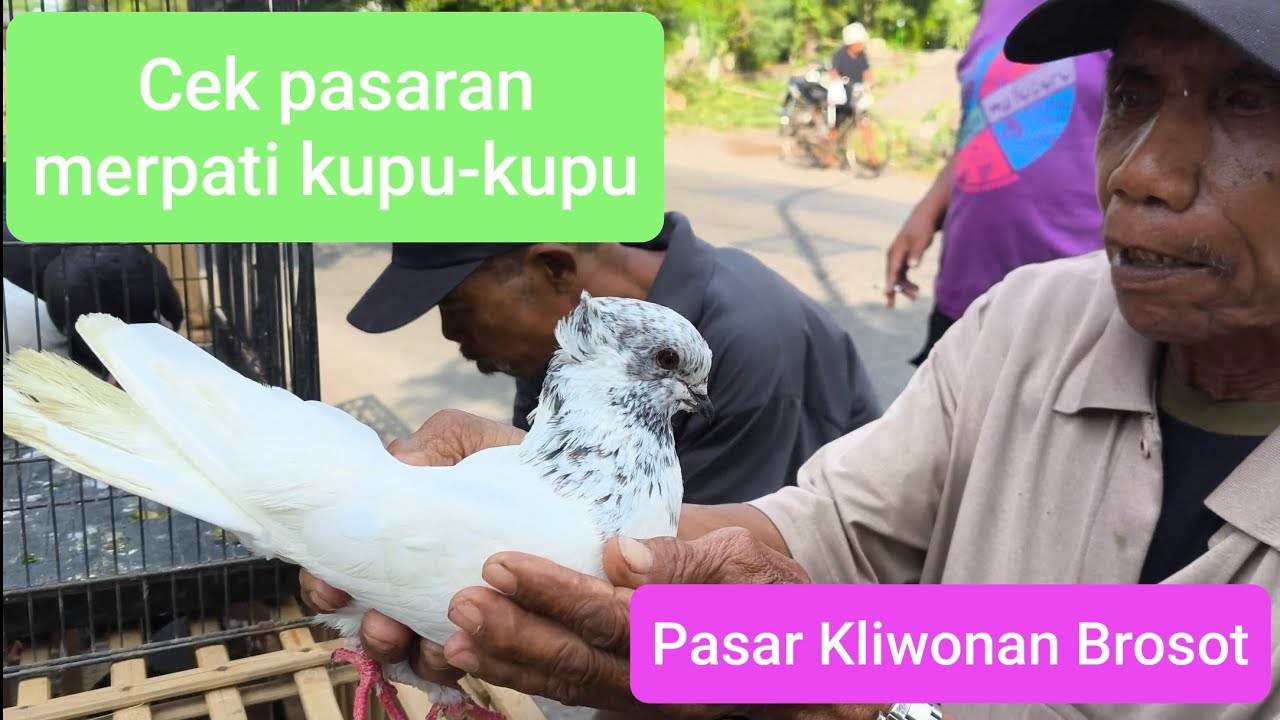 Grebeg Pasar Burung Merpati Endemik Kupu-Kupu / Kucir Iplik di Brosot (Kulon Progo) / Pasar Kliwon