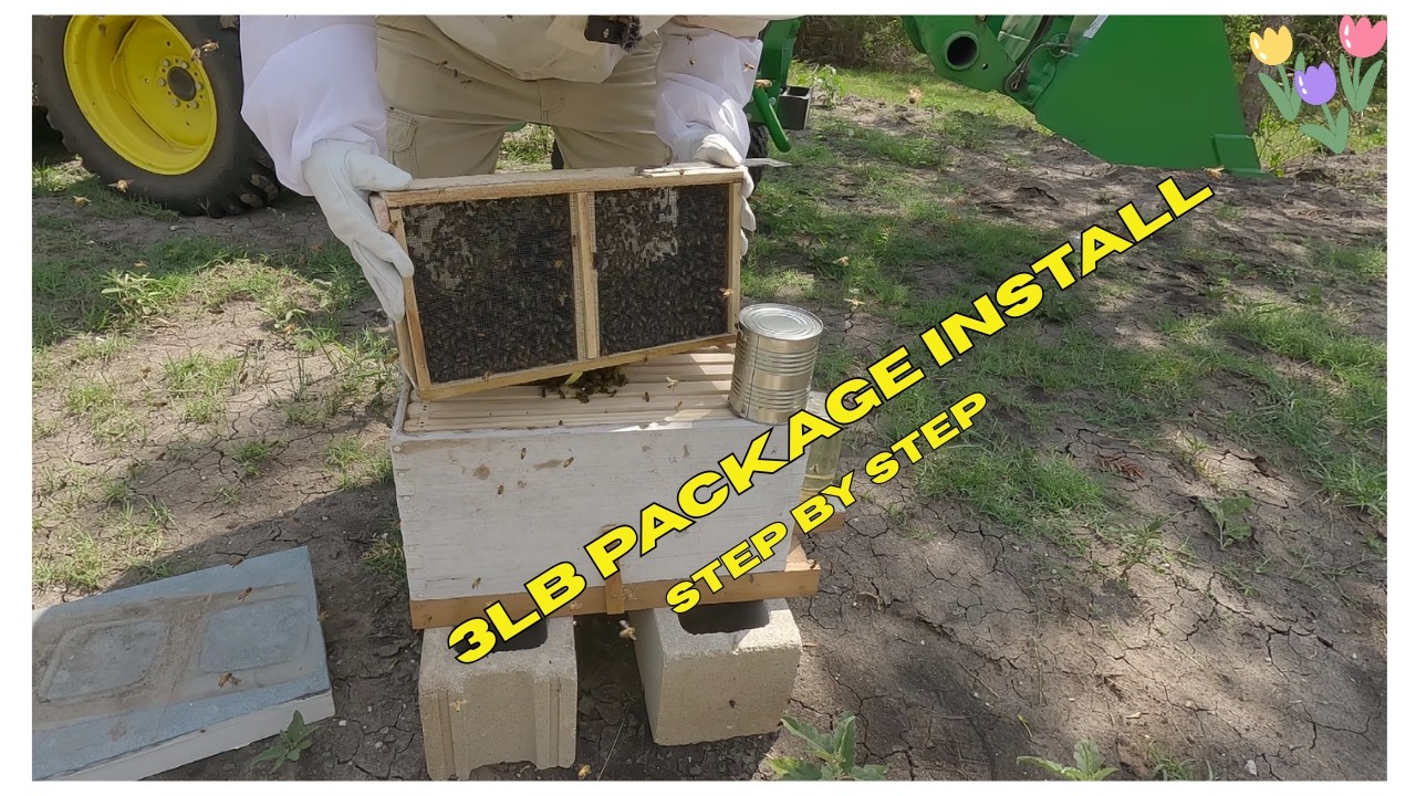 How to Install a 3lb Package of Bees in Early Spring | Beginner Beekeeping Step-by-Step
