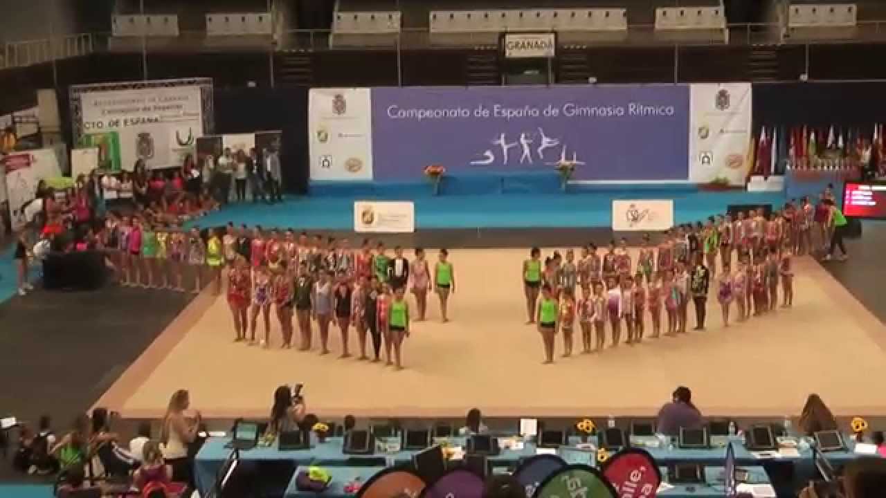 Carolina Martin desfile Campeonato de España de Gimnasia Ritmica 2014 Parte 1A