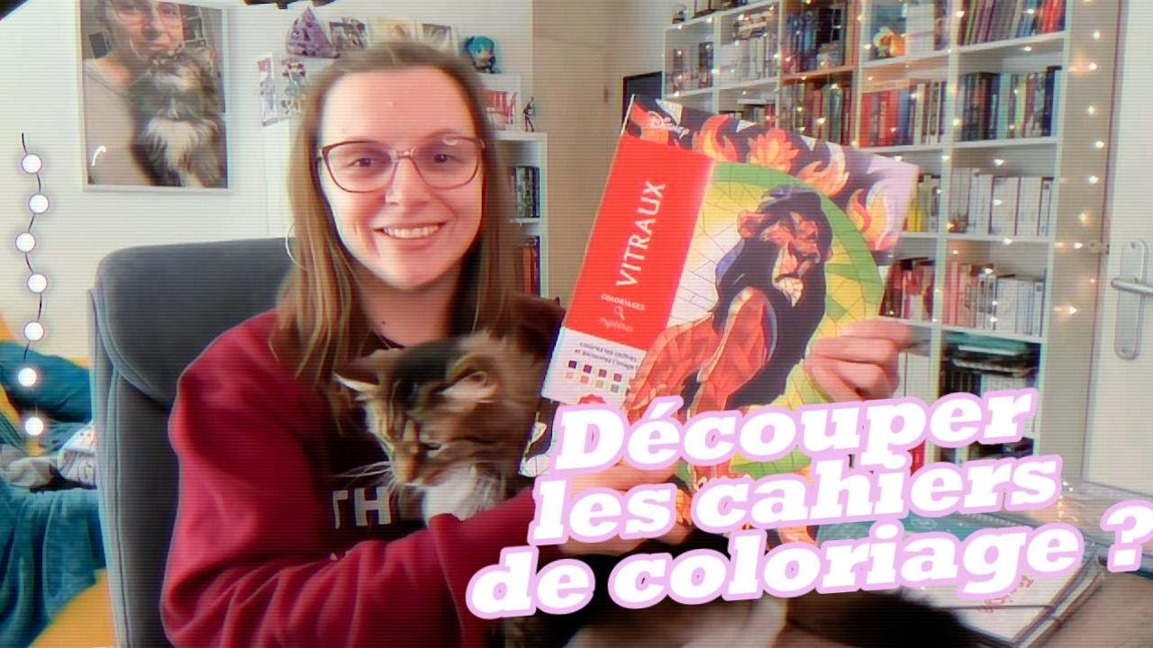 ET SI ON DECOUPAIT UN CAHIER DE COLORIAGE ?