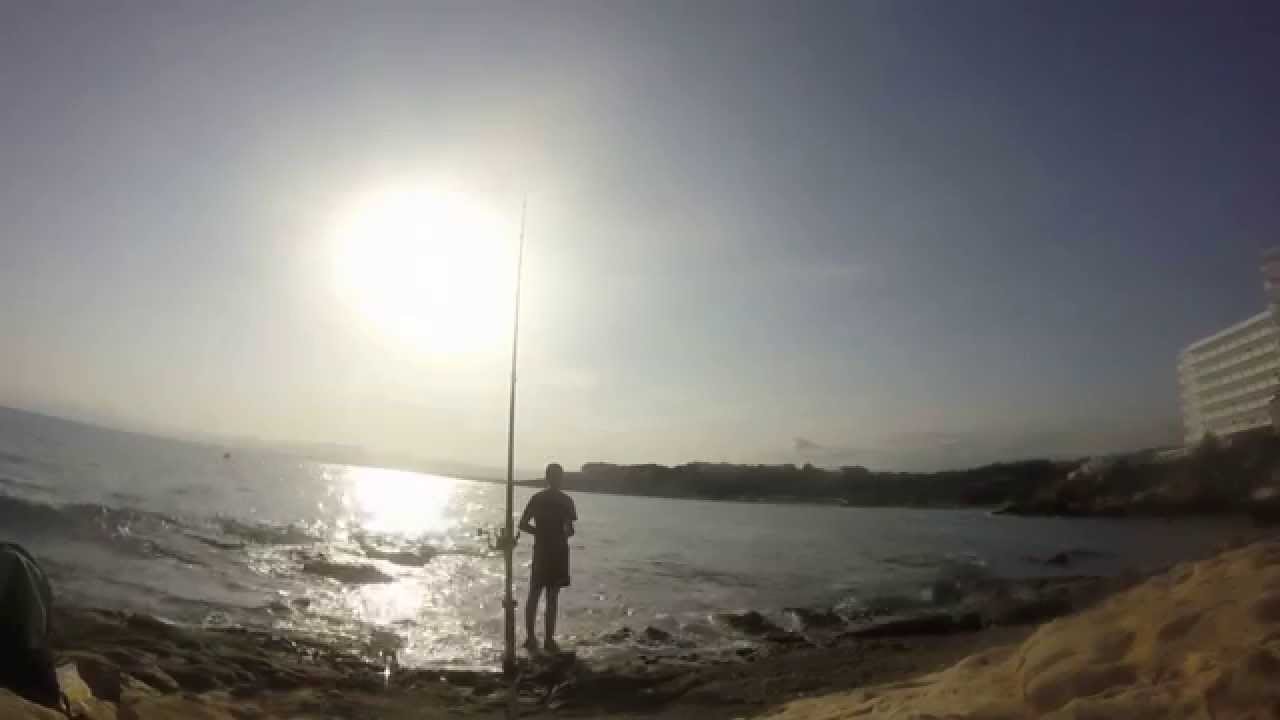 pesca con pan de lisas, dobladas y salpas