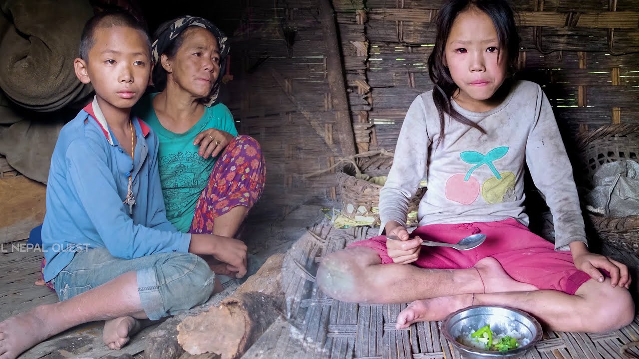 Family in the jungle || Season - 2 || video - 9 || Cowshed and Family meal ||