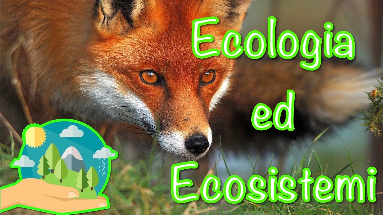 Ecologia ed Ecosistemi #1
