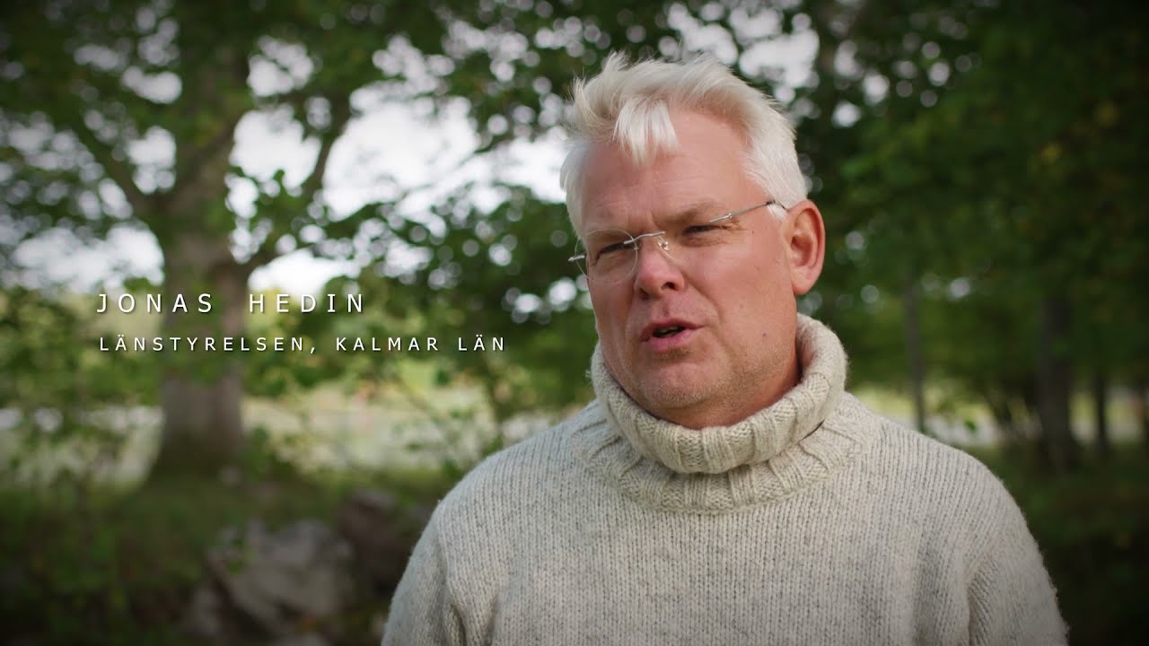 Varför skadar vi träd medvetet? Syntolkad version.