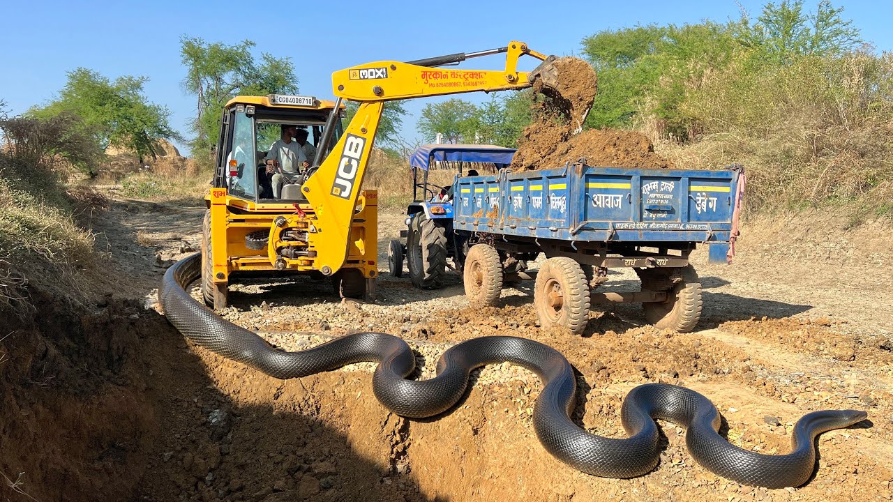 Sonalika Tractor Loading | Tractor Video | Jcb Video | Jcb Tractor Mud Loading 