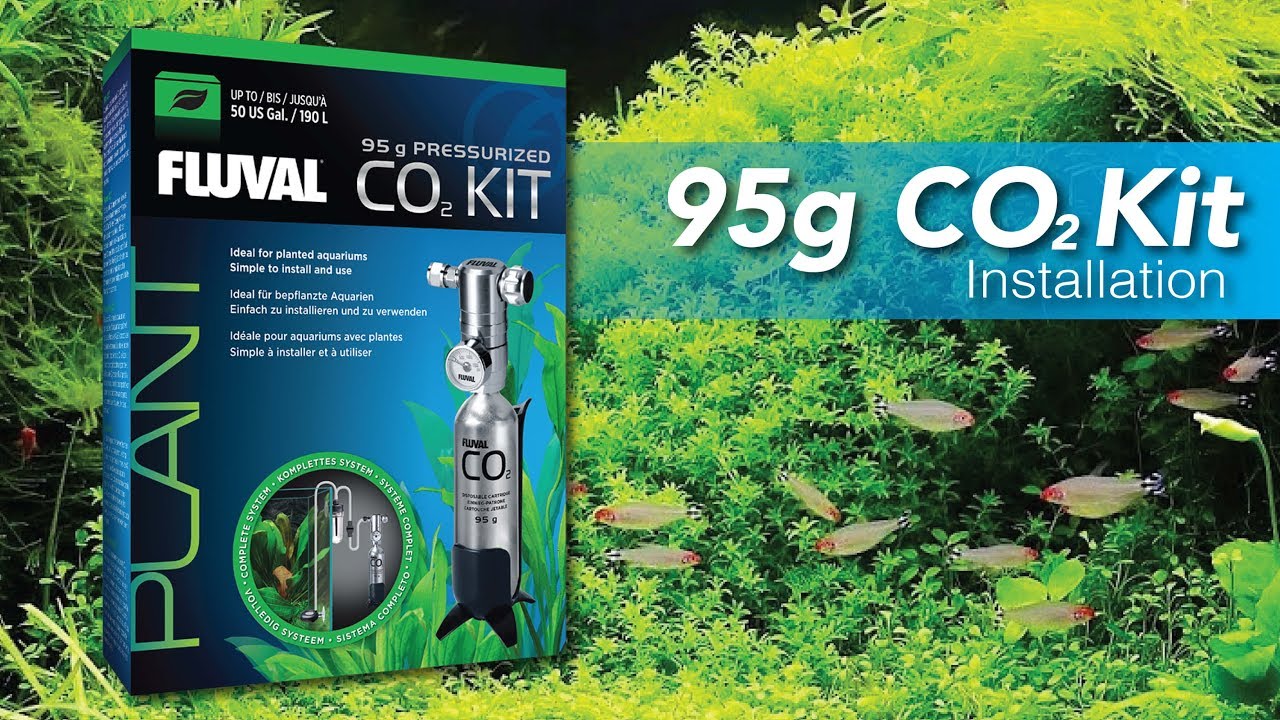 HOW TO: Fluval 95g CO2 Kit Installation