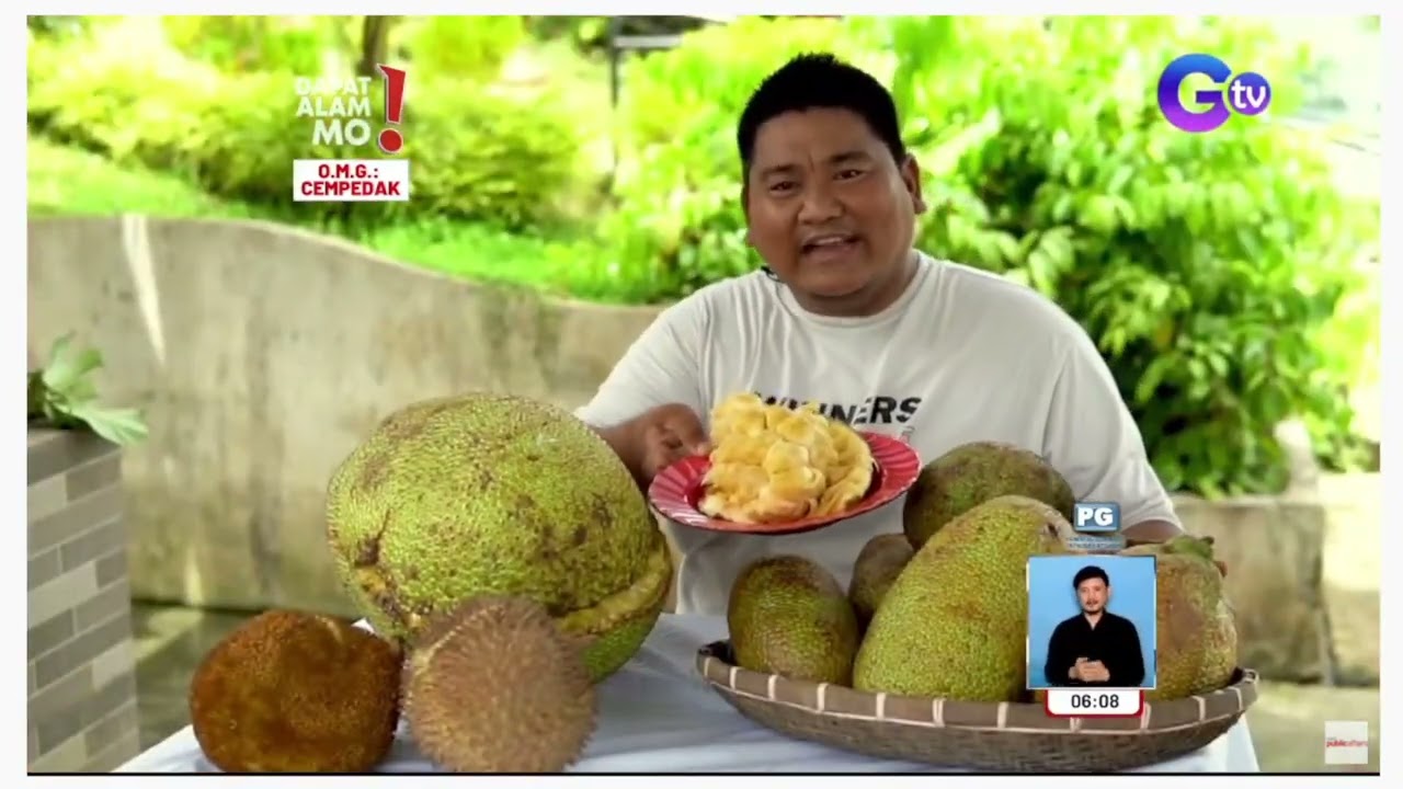 Cempedak in Bukidnon