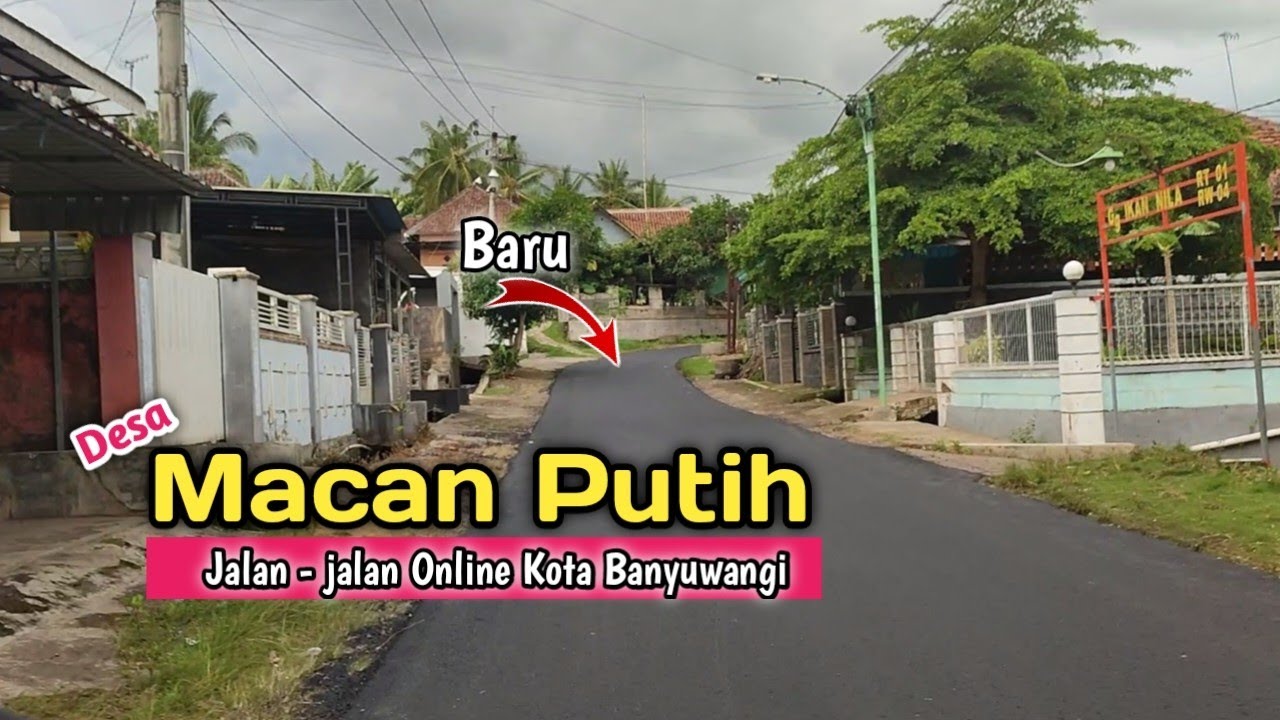 Update Desa MACAN PUTIH Kabat Banyuwangi 2025 || Perjalanan Benelan Lor - Malar
