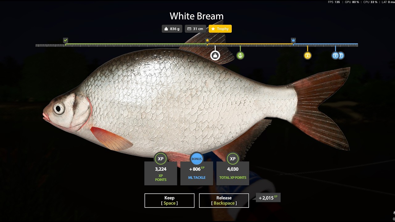 White Bream Trophy - Winding Rivulet - Russian Fishing 4