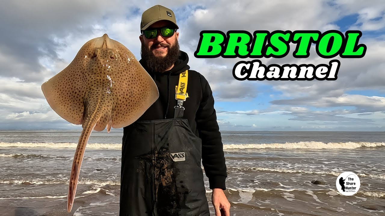 UK Beach Fishing, The Bristol Channel. Loads Of Fish 4K