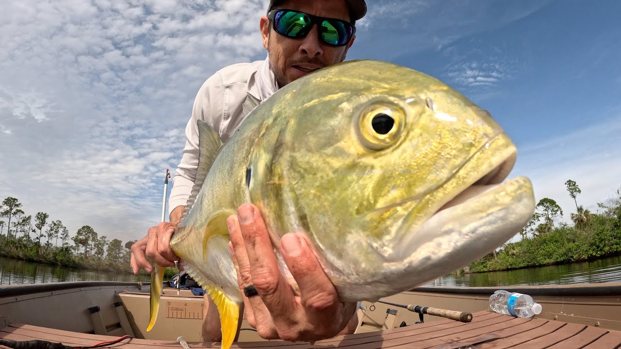 NEW Jack Spot | Invasive Specie & BIG Surprise Fishing Near Myakka River
