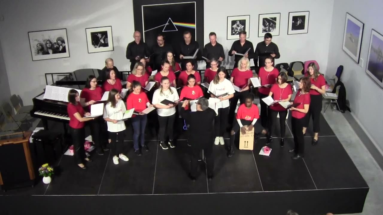 Gut wieder hier zu sein / Hannes Wader/Roland Demmeler - Günztaler Vocalensemble