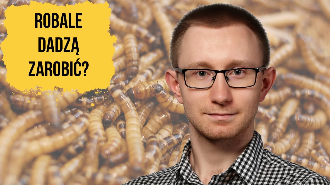 Zwiększą moce produkcyjne 40 RAZY! - Creotech, Hipromine