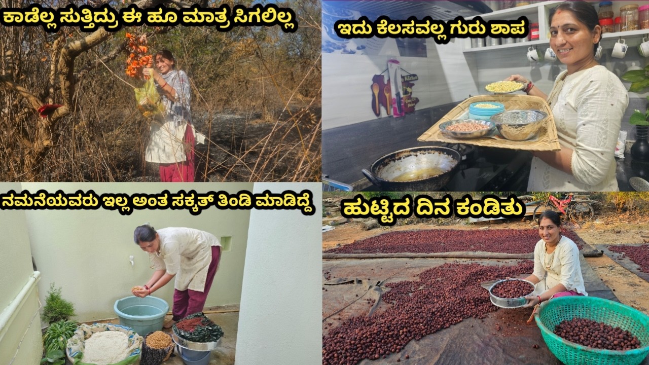 ಕಾಡು ಸುತ್ತಿ ಮುತ್ತುಗದ ಹೂ ತಂದೆ/ ಇವತ್ತು ಹುಟ್ಟಿದ ದಿನ ಕಂಡಿತು😭/ಇದು ಯಾವ ಗಮ್