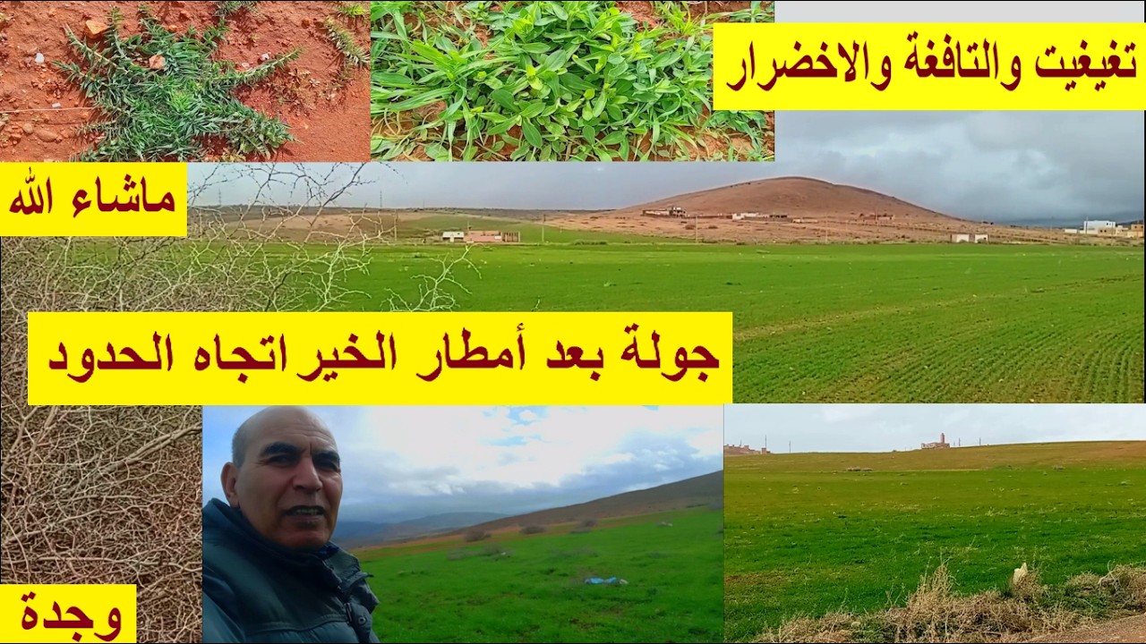 جولة بعد أمطار الخير اتجاه الحدود  قرب كروازمة لغلاليس الاخضرار ماشاء الله