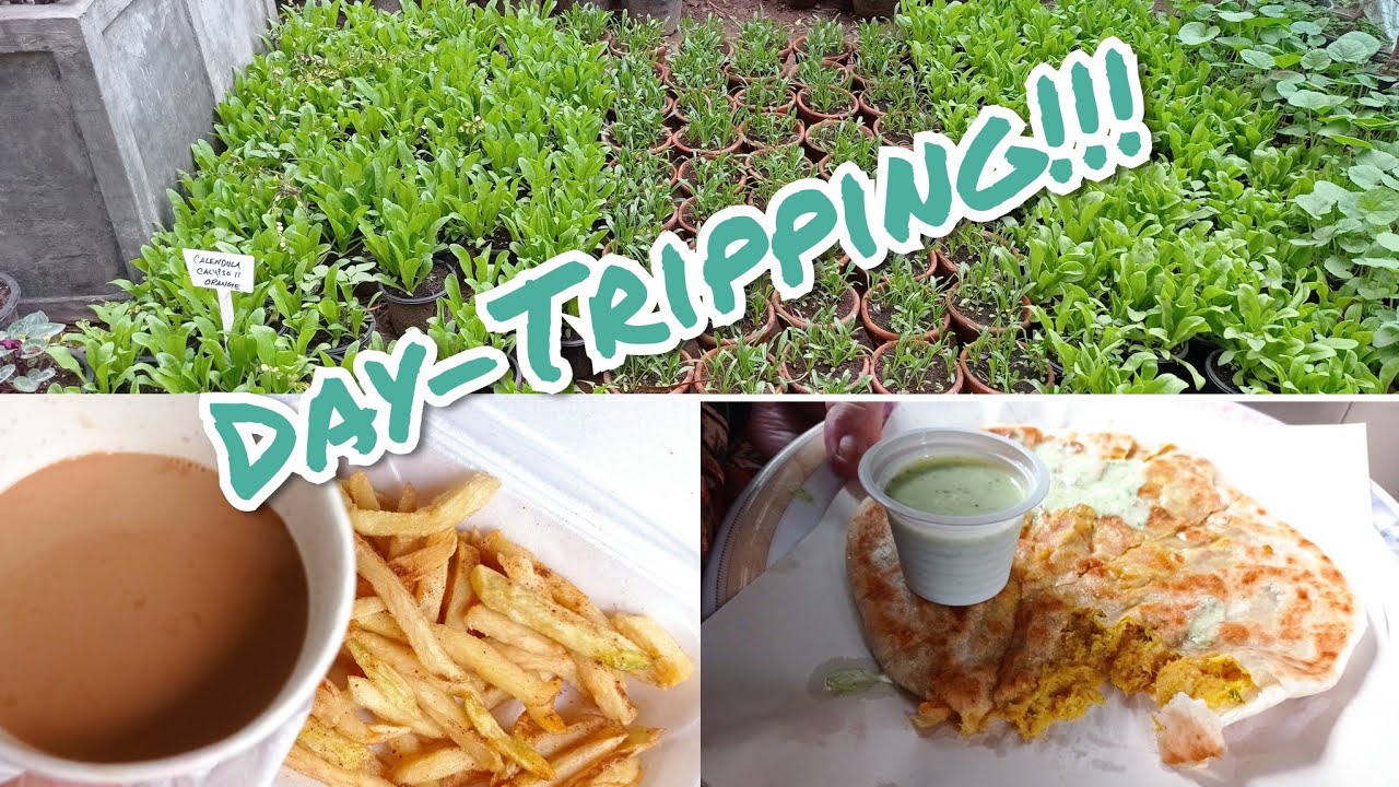 Out on a day trip! Where are we going?