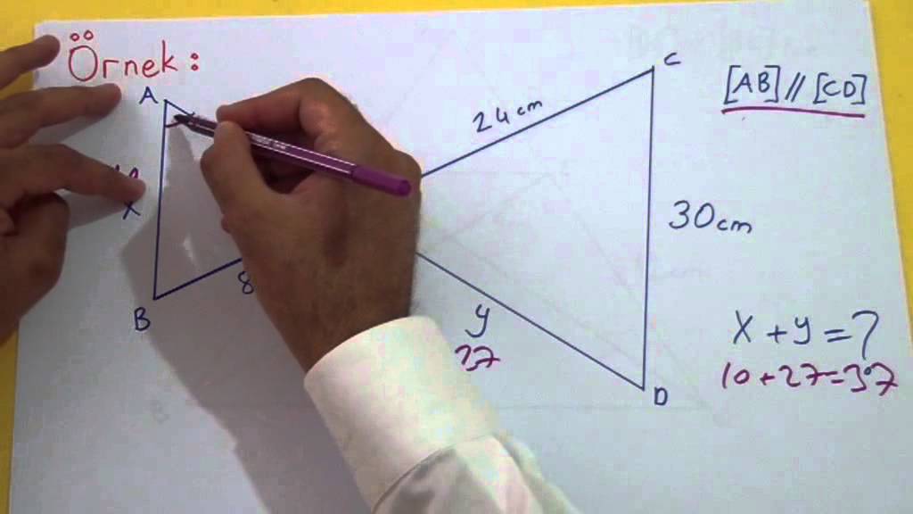 BENZERLİK 2 - Şenol Hoca