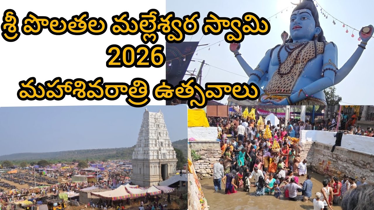 పొలతల మల్లేశ్వర స్వామి మహాశివరాత్రి ఉత్సవo 🙏 #polathala #polathalakonda #sivarathri #mahashivaratri