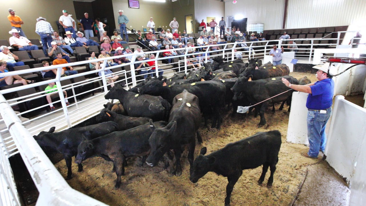 Stockyards City