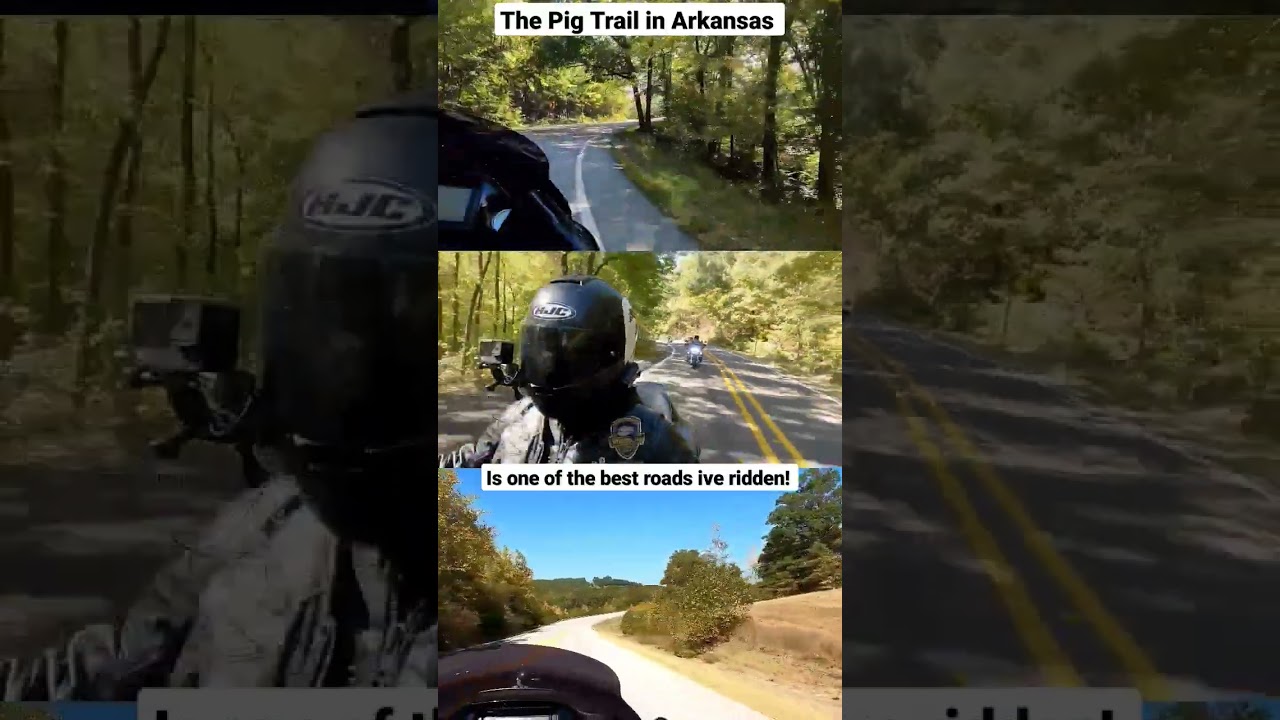 The Pig Trail is INSANE! Bikes Blue & BBQ